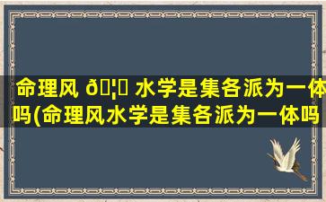 命理风 🦍 水学是集各派为一体吗(命理风水学是集各派为一体吗为什么)